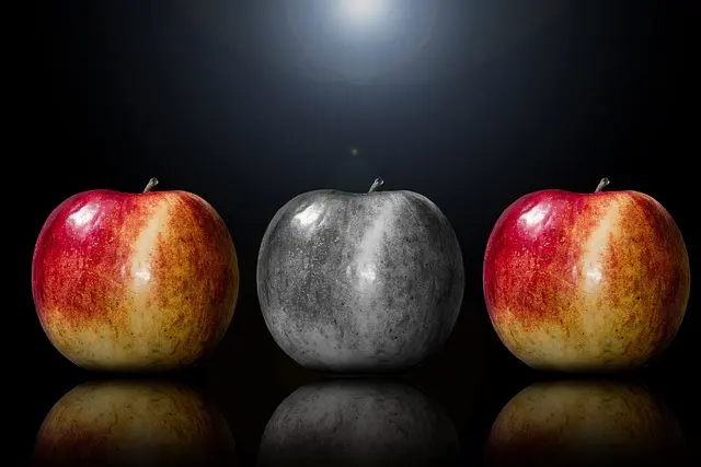 10 Tips for Choosing the Right Blogging Niche