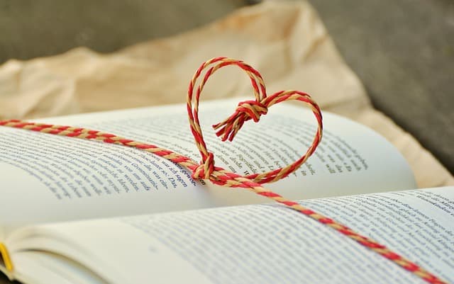 5 Essential Tips for Starting Your Blogging Journey Right